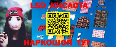 шишки Кандалакша