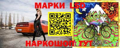 шишки Кандалакша