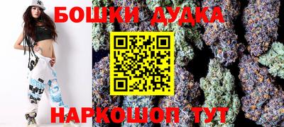шишки Кандалакша