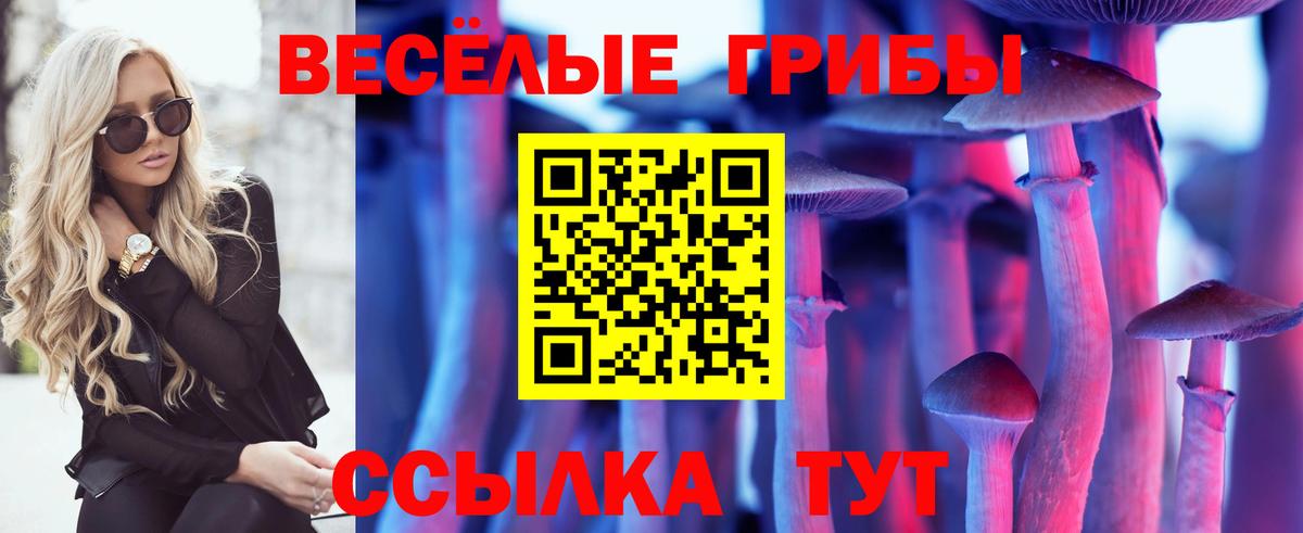 Псилоцибиновые грибы прущие грибы  Вход с VPN  Тихвин  Псилоцибиновые грибы MAGIC MUSHROOMS 